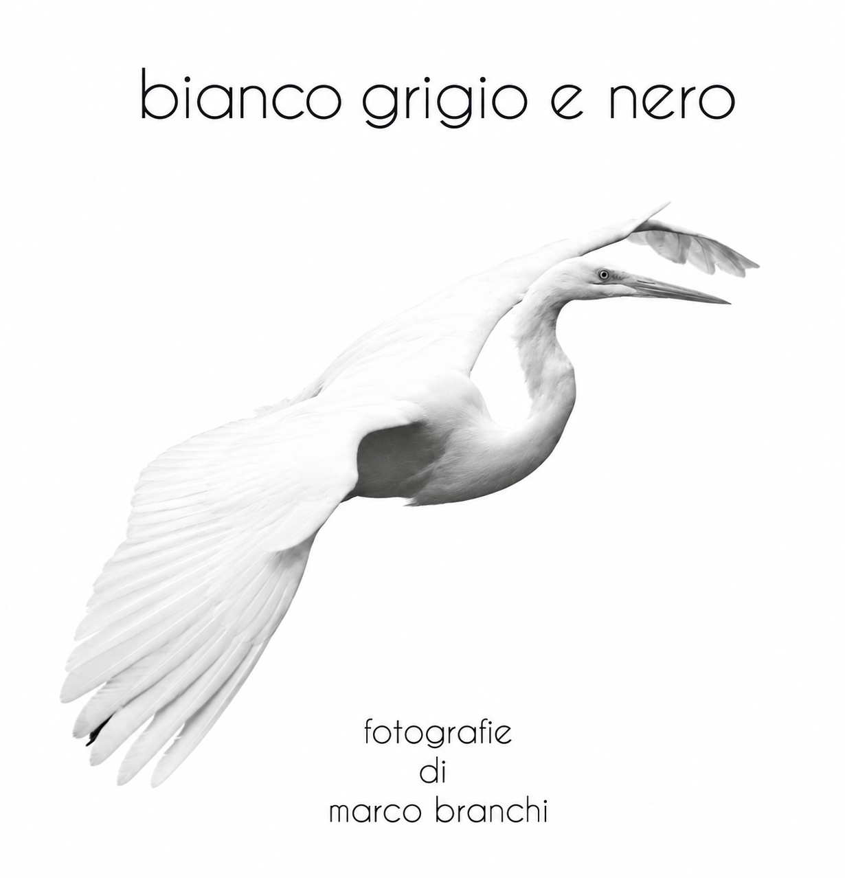 Copertina di Bianco Grigio Nero
