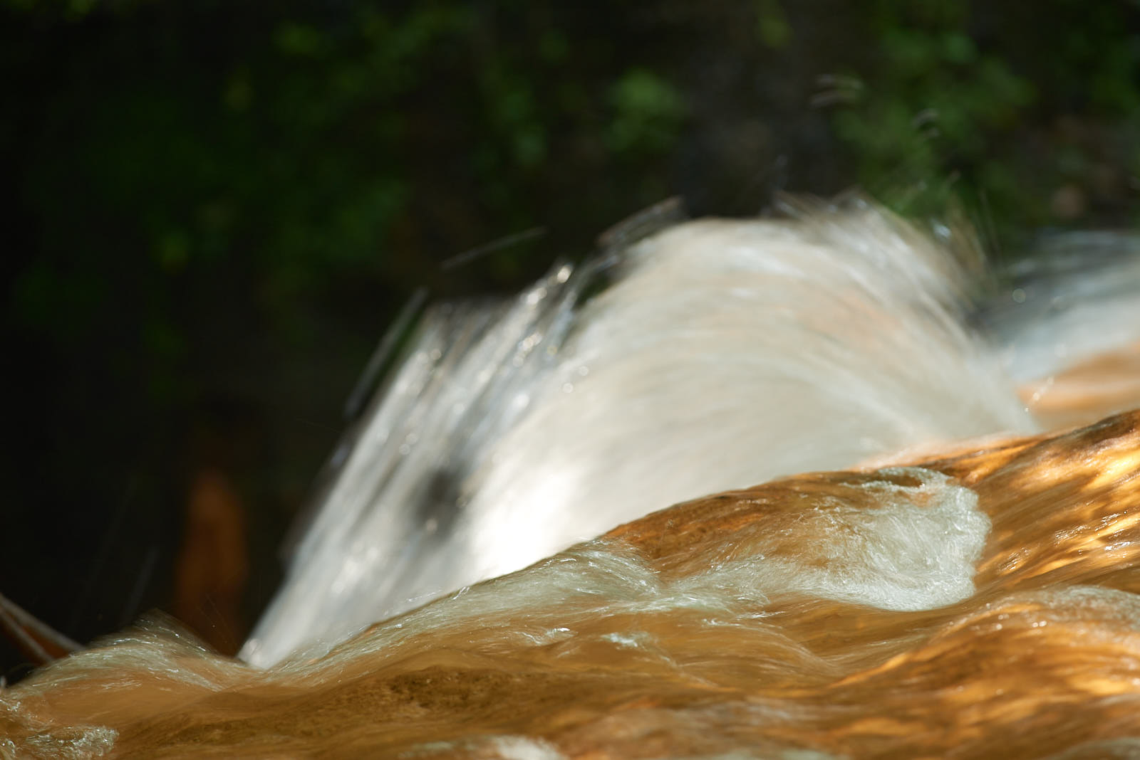 Acqua